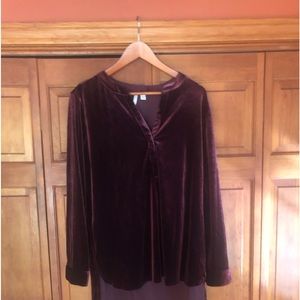 Cato Velour Top
